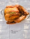 Roasted whole chicken / turkey Royalty Free Stock Photo