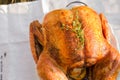 Roasted whole chicken / turkey Royalty Free Stock Photo