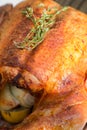 Roasted whole chicken / turkey Royalty Free Stock Photo