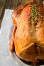 Roasted whole chicken / turkey Royalty Free Stock Photo