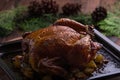 Roasted whole chicken / turkey for celebration and holiday. Christmas, thanksgiving, new year's eve dinner Royalty Free Stock Photo