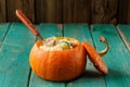 Roasted whole pumpkin with rice and meat with pepper mill Royalty Free Stock Photo