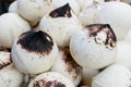 Roasted young coconut for sale in market