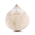 Roasted Young Coconut on white background.