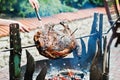 Roasting barbecue is prepared of a ram, lamb or sheep Royalty Free Stock Photo