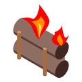 Roasting campfire icon, isometric style Royalty Free Stock Photo