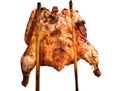 Roasting Chicken Isolate On White Background
