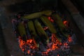 Roasting corn on the cob at night on summer days