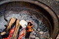 Roasting large marshmallow on a stick over the campfire firepit. Camping family fun Royalty Free Stock Photo