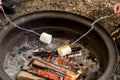 Roasting large marshmallows on a stick over the campfire firepit. Camping family fun