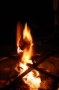 Roasting Marshmallows on Campfire
