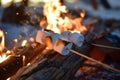 Roasting marshmallows on stick at bonfire. Having fun at camp fire. Camping in fall forest