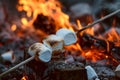 Roasting marshmallows on stick at bonfire. Having fun at camp fire. Camping in fall forest