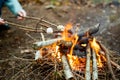 Roasting marshmallows on stick at bonfire. Having fun at camp fire Royalty Free Stock Photo