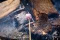 Roasting Marshmellows Over an Open Fire Royalty Free Stock Photo