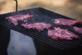 Roasting meat with beer in nature, barbecue concept Royalty Free Stock Photo