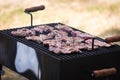 Roasting meat with beer in nature, barbecue concept Royalty Free Stock Photo