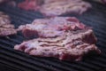 Roasting meat with beer in nature, barbecue concept Royalty Free Stock Photo