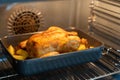 Roasting pan containing a whole chicken inside an oven Royalty Free Stock Photo