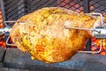 Grilling a pork roast, over wood and charcoal grill Royalty Free Stock Photo