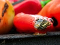 Roasting bell peppers for ajvar