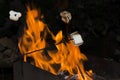 Roasting sweet marshmallows outdoor.Camping time Royalty Free Stock Photo