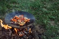 Roasting vegetables in outdoor. Royalty Free Stock Photo