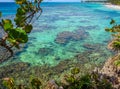Roatan, Honduras blue ocean, reef, vegetation growing on rocks. Tropical exotic island, vacation, resort, sandy beach in the backg