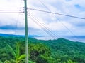 The Roatan island road with trees at Honduras Royalty Free Stock Photo