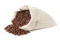 Roated coffee beans spill out of the bag Royalty Free Stock Photo