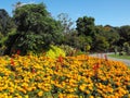 Roath Park Gardens