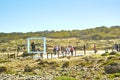 Robben Island prison touristic visit appartheid