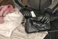 Robber in black outfit and gloves see in opened stolen women bag. The thief takes out US dollar bills from a womans handbag in Royalty Free Stock Photo