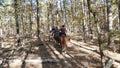 Robber`s Cave State Park stables, trail ride through the mountain forest