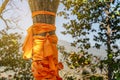 Robe of Buddhist monk wrap around tree trunk