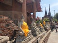 Robed buddhas ayuthaya thailand