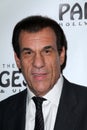 Robert Davi Royalty Free Stock Photo