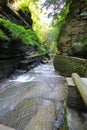 Enfield Glen, Robert H Treman State Park, New York Royalty Free Stock Photo