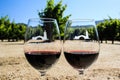 Robert Mondavi Winery Glasses