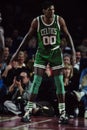 Robert Parrish Boston Celtics