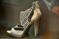 Roberto Cavalli fashion shoes with angel wings Royalty Free Stock Photo