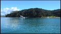 Roberton Island in the Bay of Islands New Zealand