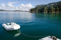 Roberton Island in the Bay of Islands New Zealand