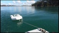 Roberton Island in the Bay of Islands New Zealand