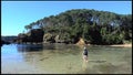 Roberton Island in the Bay of Islands New Zealand