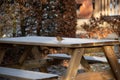 Robin on the bench covered in frost Royalty Free Stock Photo