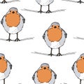 Robin bird hand drawn vector illustration, The European robin Royalty Free Stock Photo