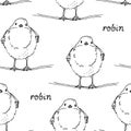 Robin bird hand drawn vector illustration, The European robin Royalty Free Stock Photo
