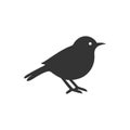 Robin bird icon Royalty Free Stock Photo