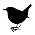 Robin bird ,vector illustration , black silhouette Royalty Free Stock Photo